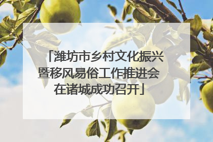 潍坊市乡村文化振兴暨移风易俗工作推进会在诸城成功召开