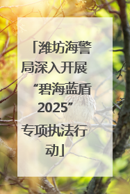 潍坊海警局深入开展“碧海蓝盾2025”专项执法行动