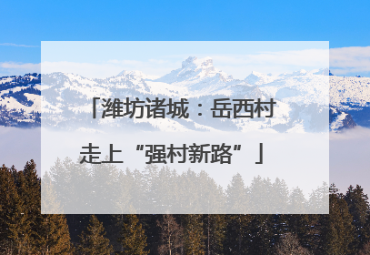 潍坊诸城：岳西村走上“强村新路”