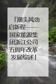 潮头风劲启新程——国家能源集团浙江公司五周年改革发展综述