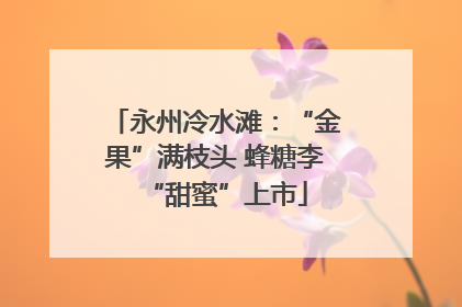永州冷水滩：“金果”满枝头 蜂糖李“甜蜜”上市