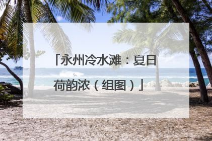 永州冷水滩：夏日荷韵浓（组图）