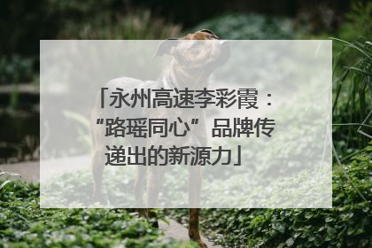永州高速李彩霞：“路瑶同心”品牌传递出的新源力