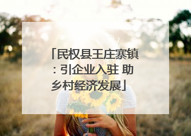 民权县王庄寨镇：引企业入驻 助乡村经济发展
