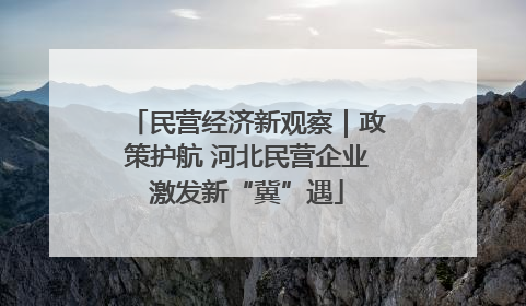 民营经济新观察｜政策护航 河北民营企业激发新“冀”遇