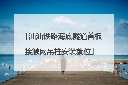 汕汕铁路海底隧道首根接触网吊柱安装就位