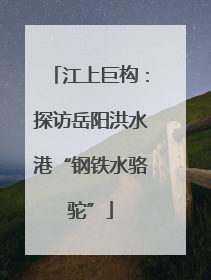 江上巨构：探访岳阳洪水港“钢铁水骆驼”