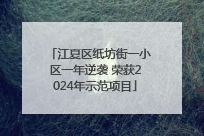 江夏区纸坊街一小区一年逆袭 荣获2024年示范项目