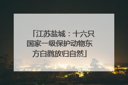 江苏盐城：十六只国家一级保护动物东方白鹳放归自然