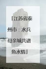 江苏省泰州市：水兵母亲城共谱鱼水情
