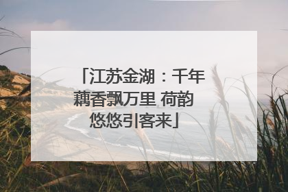 江苏金湖：千年藕香飘万里 荷韵悠悠引客来
