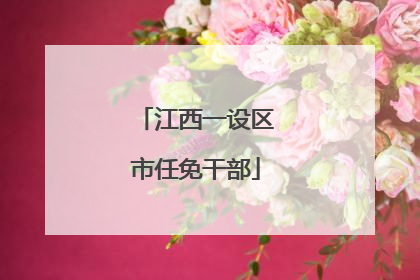 江西一设区市任免干部