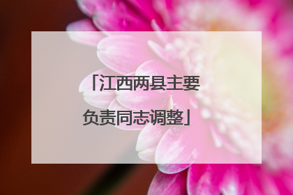 江西两县主要负责同志调整