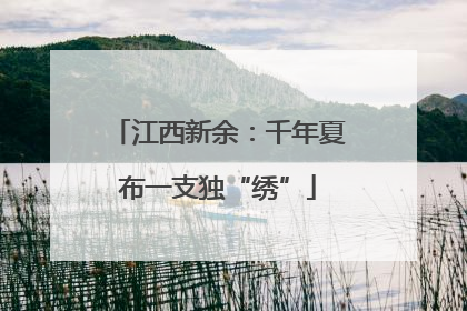 江西新余：千年夏布一支独“绣”