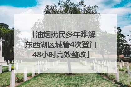 油烟扰民多年难解 东西湖区城管4次登门48小时高效整改