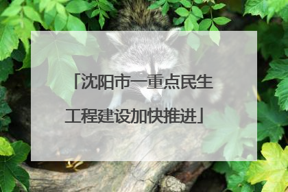 沈阳市一重点民生工程建设加快推进