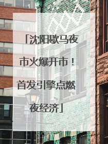 沈阳歇马夜市火爆开市！首发引擎点燃夜经济