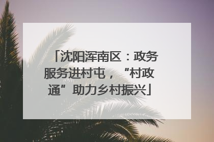 沈阳浑南区：政务服务进村屯，“村政通”助力乡村振兴