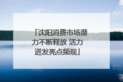 沈阳消费市场潜力不断释放 活力迸发亮点频现