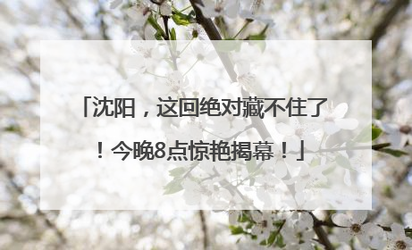 沈阳，这回绝对藏不住了！今晚8点惊艳揭幕！