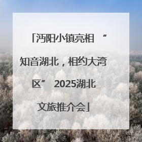 沔阳小镇亮相 “知音湖北，相约大湾区” 2025湖北文旅推介会