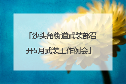 沙头角街道武装部召开5月武装工作例会