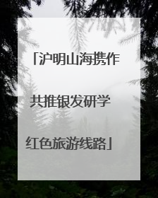 沪明山海携作 共推银发研学红色旅游线路