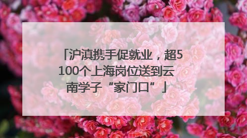 沪滇携手促就业，超5100个上海岗位送到云南学子“家门口”