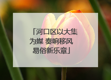 河口区以大集为媒 奏响移风易俗新乐章