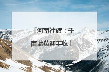 河南社旗：千亩蓝莓迎丰收