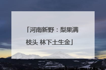 河南新野：梨果满枝头 林下土生金