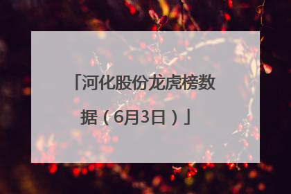 河化股份龙虎榜数据（6月3日）