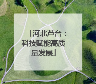 河北芦台：科技赋能高质量发展
