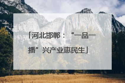 河北邯郸：“一品一播”兴产业惠民生