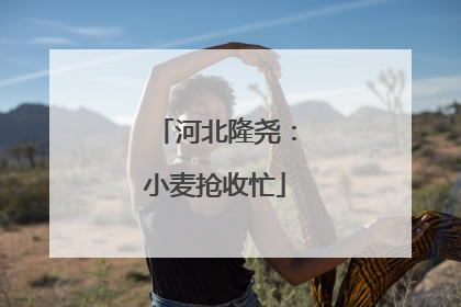 河北隆尧：小麦抢收忙