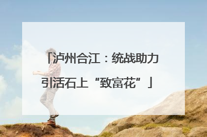 泸州合江：统战助力引活石上“致富花”