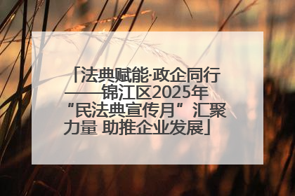 法典赋能·政企同行——锦江区2025年“民法典宣传月”汇聚力量 助推企业发展