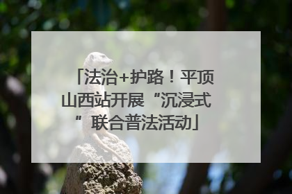 法治+护路！平顶山西站开展“沉浸式”联合普法活动