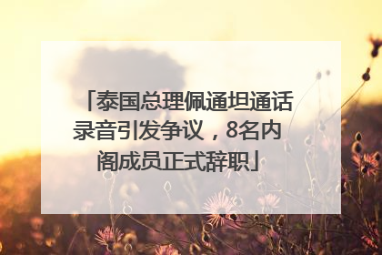 泰国总理佩通坦通话录音引发争议，8名内阁成员正式辞职