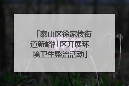 泰山区徐家楼街道新峪社区开展环境卫生整治活动