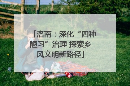 洛南：深化“四种陋习”治理 探索乡风文明新路径