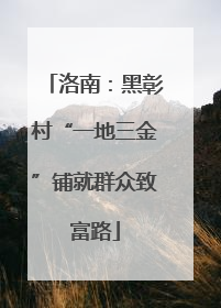 洛南：黑彰村“一地三金”铺就群众致富路