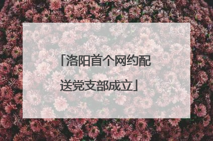 洛阳首个网约配送党支部成立