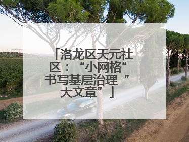 洛龙区天元社区：“小网格”书写基层治理“大文章”