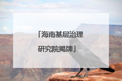 海南基层治理研究院揭牌