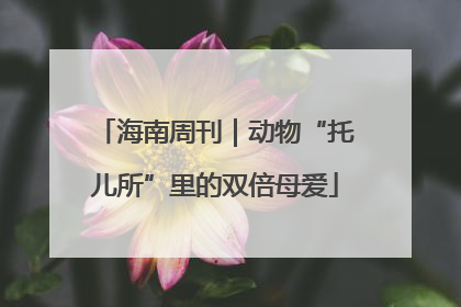 海南周刊｜动物“托儿所”里的双倍母爱