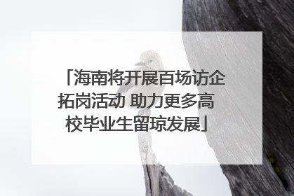 海南将开展百场访企拓岗活动 助力更多高校毕业生留琼发展