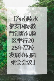 海南陵水黎安国际教育创新试验区举行2025年高校发展协同圆桌会会议