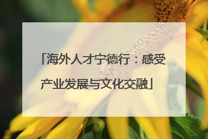 海外人才宁德行：感受产业发展与文化交融