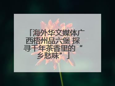 海外华文媒体广西梧州品六堡 探寻千年茶香里的“乡愁味”